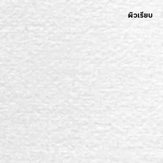 (10แผ่น) A4 A3 แผ่นใหญ่ กระดาษ100 ปอนด์ ชนิดผิวเรียบ หนา 200 แกรม เรนาซองส์ Renaissance กระดาษวาดเขียน กระดาษหนังไก่