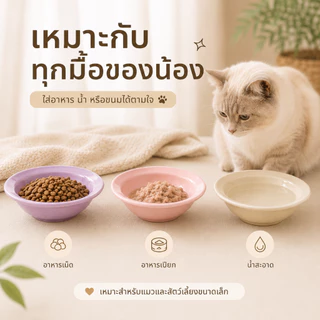 PETWELL ชามอาหารสัตว์เลี้ยงเซรามิก สำหรับแมวและสุนัข ใช้ใส่อาหารเปียก อาหารแห้ง และน้ำ