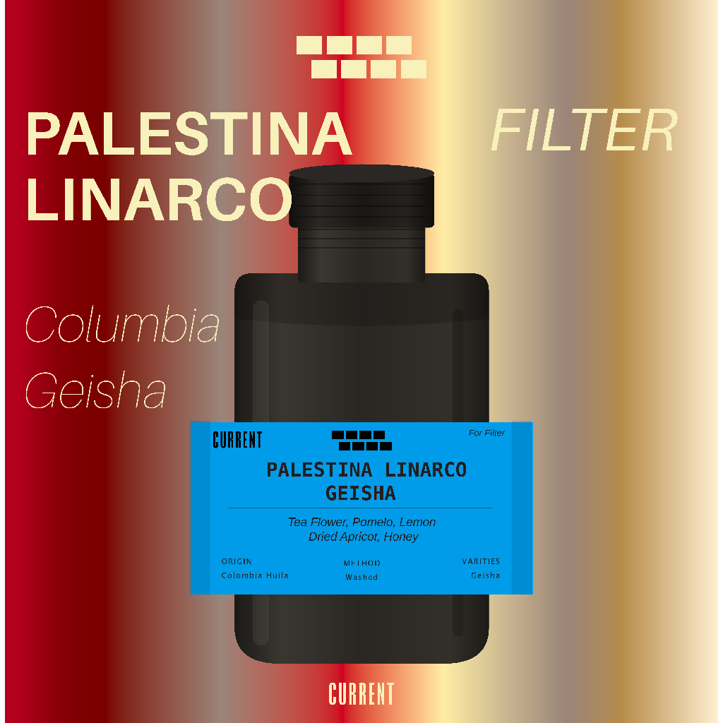 FILTER SEASONAL COFFEE  BEAN // Colombia Palestina Geisha Washed เมล็ดกาแฟคั่วอ่อนสำหรับ filter/ pou