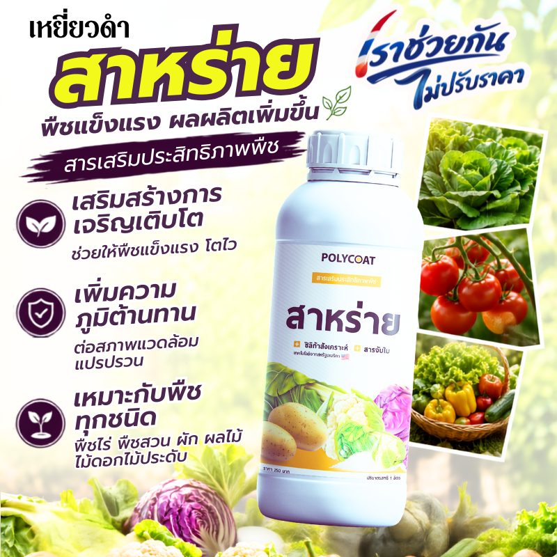 Polycoat สาหร่ายน้ำเข้มข้น 3เท่า+ซิลิก้าพืช+สารจับใบ 1L ในขวดเดียว เสริมพลังทำดอก ทำผลดก