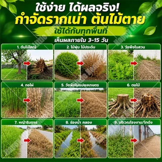 🛡️100% รากไม้เน่า ยาฆ่าต้นไม้ใหญ ยาฆ่าตอไม้ สารกำจัดกอไผ่ ตรงไปที่ราก กำจัดวัชพืชรากเน่า ขนาด 500g