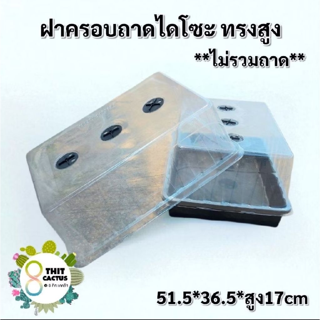 // ชุดฝาครอบ+ถาดไดโซะ รุ่นใหญ่ // ฝาเตี้ย ฝาสูง // อบ มีวาว ครอบถาด เพาะเมล็ด