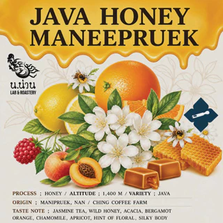 Nan Coffee Roastery เมล็ดกาแฟ Java Honey มณีพฤกษ์ Ching Coffee Farm 2026