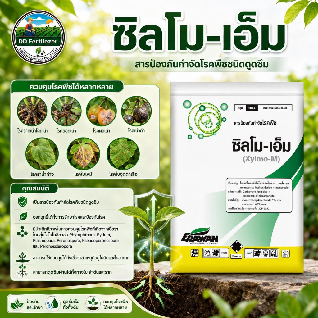 ซิลโมเอ็ม #โพรพาโมคาร์บ ไฮโดรคลอไรด์ + เมทาแลกซิลเชื้อราไฟทอฟธอร่า ในทุเรียน ขนาด 1 กิโลกรัม #ร้านปุ๋ยดีเด่น