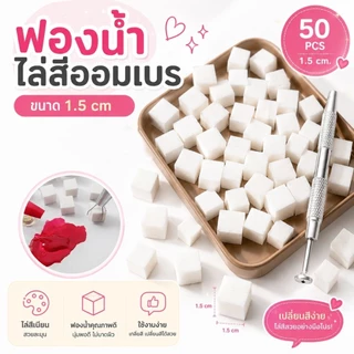 จัดส่งทันที ♡ ปากกาคีบฟองน้ำ ฟองน้ำออมเบร ผงผสมสีออมเบร จานสี