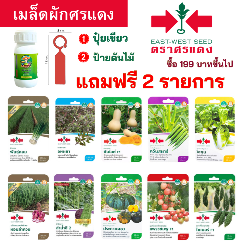 เมล็ดผักศรแดง ของแท้ ซื้อ 199 บาทขึ้นไป แถมฟรี 2 รายการ ออกใบกํากับภาษีได้