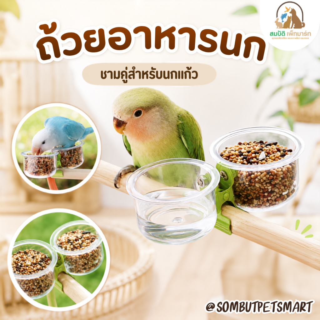 ถ้วยอาหารนกคู่ 2 ช่อง 🐦 ใส่อาหาร+น้ำในชุดเดียว ถ้วยใสแบบหนีบคอนไม้ ถอดล้างง่าย สำหรับนกแก้วขนาดเล็ก