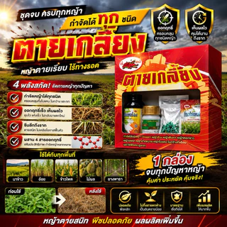 ตายเกลี้ยง กำจัดวัชพืชร้ายในนาข้าว ตายชัดเจน ทั้งใบแคบและใบกว้าง กำจัดได้ทุกหญ้าครบจบในเซ็ทเดียว