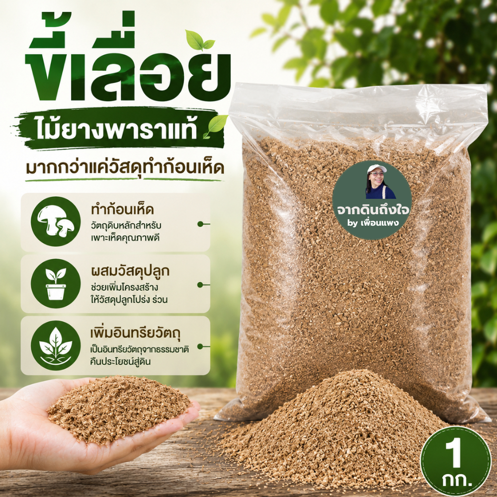 ขี้เลื่อยไม้ยางพาราแท้ เนื้อละเอียด 1 กก.  ทำก้อนเห็ด  ผสมวัสดุปลูก  เพิ่มอินทรียวัตถุ