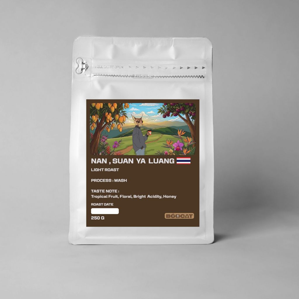 เมล็ดกาแฟคั่วอ่อน BOBCAT ROASTER - Nan Suan Ya Luang  ขนาด 250 g.