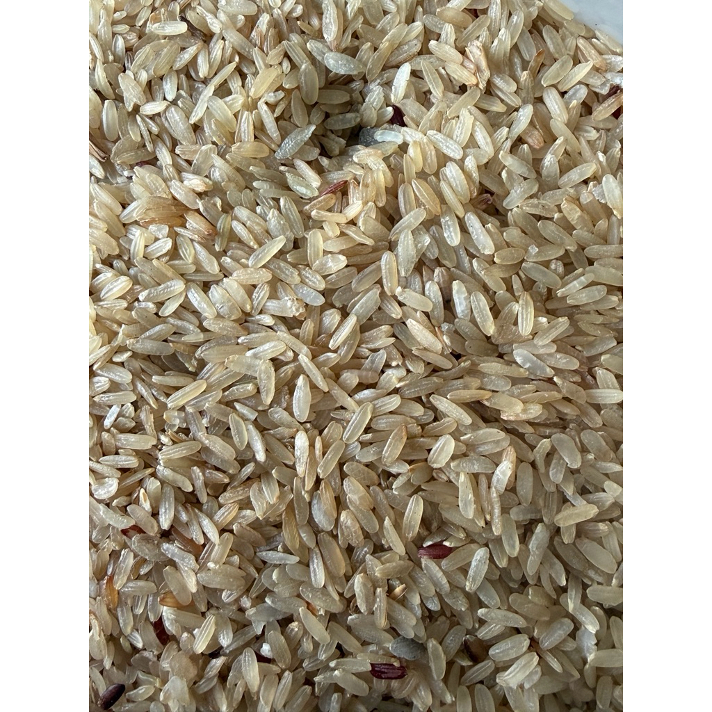 ข้าวเม่ารีดกลม พร้อมส่ง นน. 5กิโลกรัม (ลูกค้านำไปคั่วเอง)