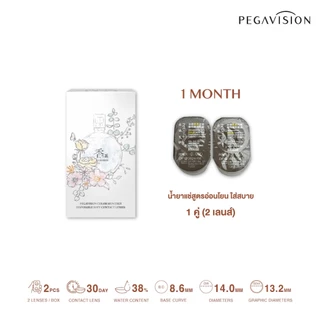 PEGAVISION คอนแทคเลนส์สี รายเดือน รุ่น KAORI สี Eucalyptus Gray (2 เลนส์/กล่อง)