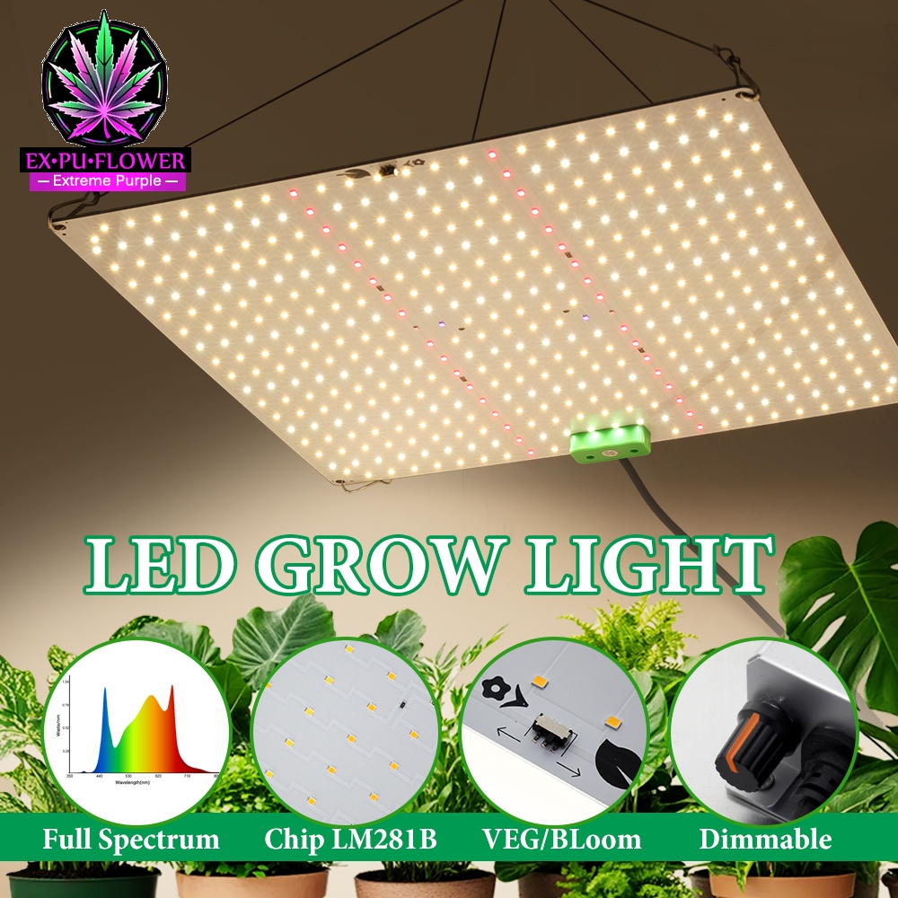 LED Plant Grow Light LM281B ไฟเติมต้นไม้ในร่มแบบเต็มสเปกตรัม 150W 240W ไฟหรี่แสงได้สำหรับพืช