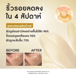อีฟ โรเช Yves Rocher Anti-age Global The Anti-aging Beautifying Cream 50ml เดย์ครีมกระชับผิวใส