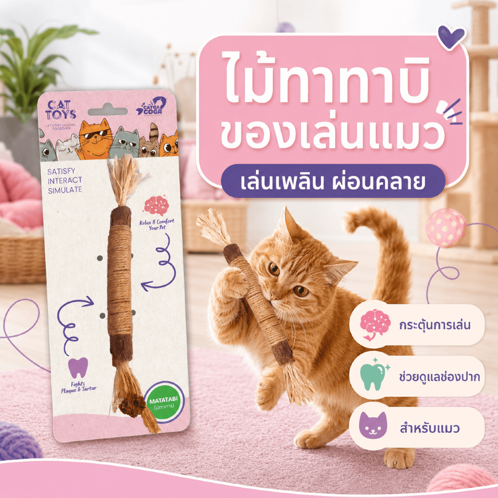 Cats Coga ไม้มาทาทาบิ