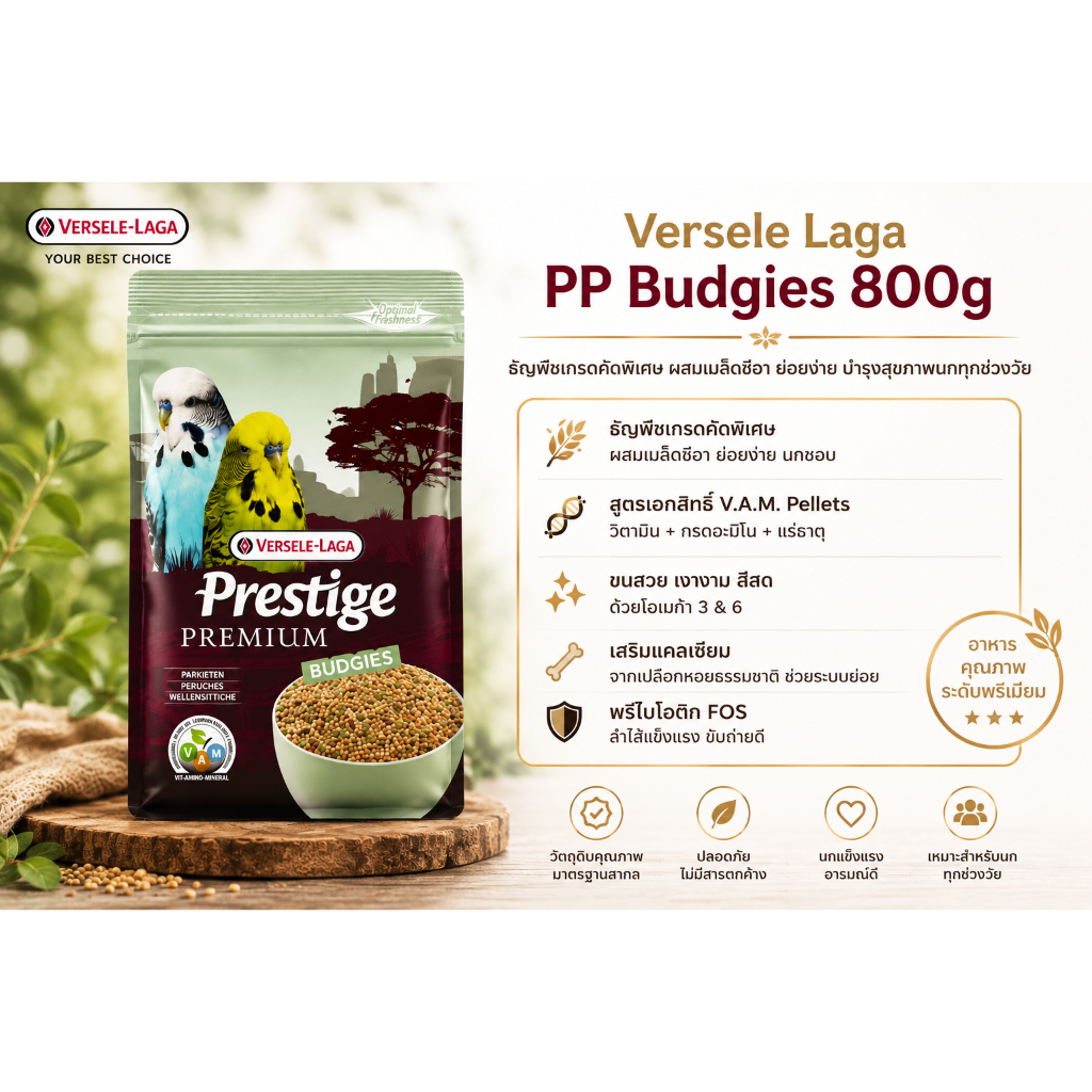 Versele Laga PP Budgies 800g (Food)