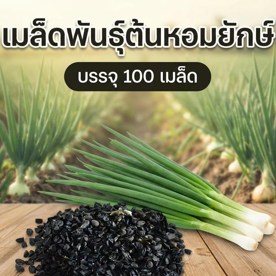 เมล็ดพันธุ์ต้นหอมยักษ์ ต้นหอมญี่ปุ่น ซองละ 100 เมล็ด)