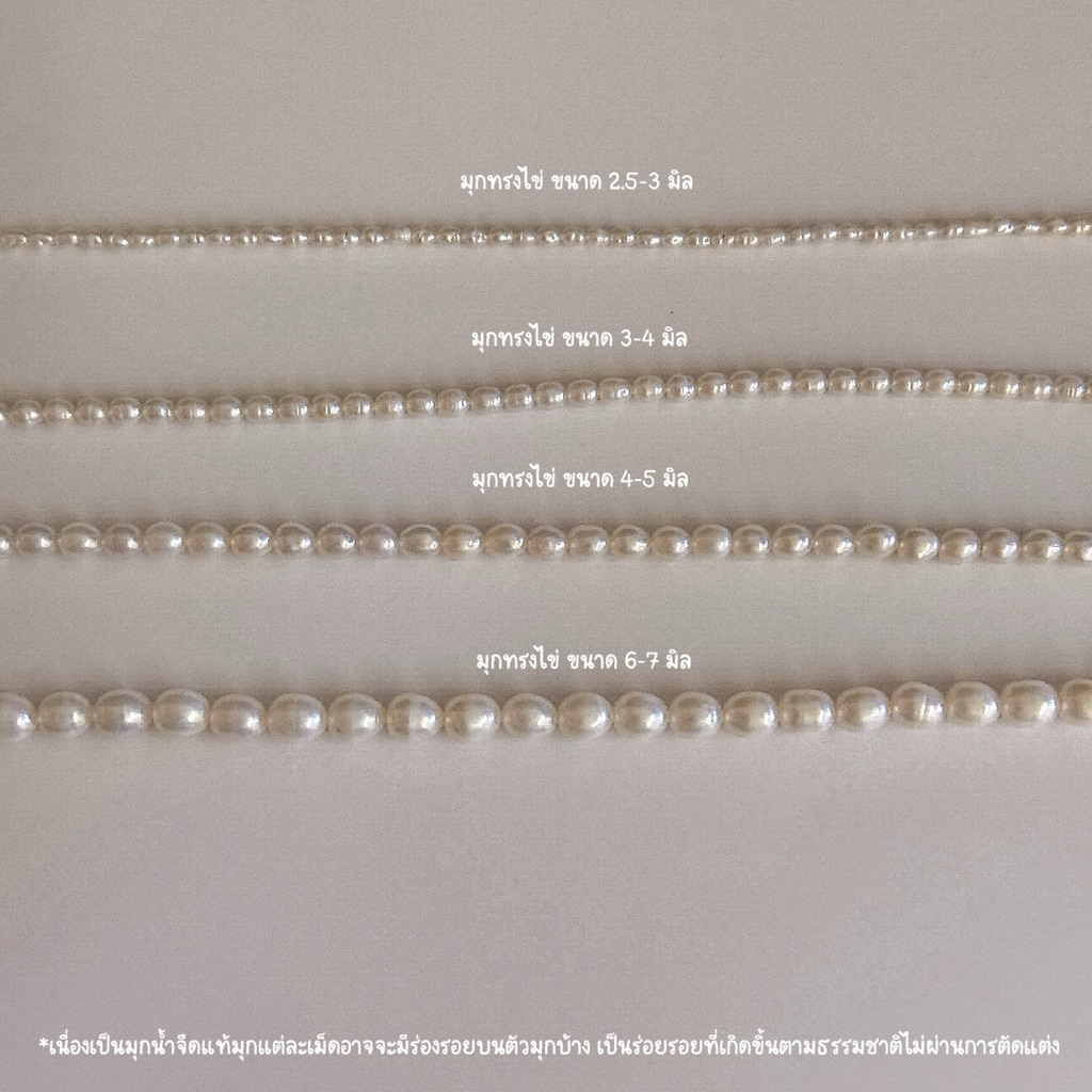 shellandgold - สร้อยคอมุกทรงไข่ มีให้เลือก 6 ขนาด