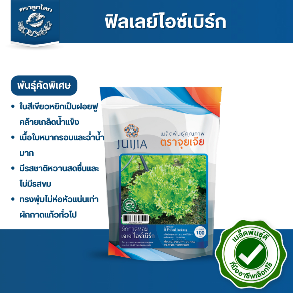 ตราลูกโลก เมล็ดผักกาดหอม ฟิลเลย์ไอซ์เบิก Lettuce เมล็ดพันธุ์ผัก ผักซอง ผักสลัด เมล็ดผักสลัด ขนาด 100 กรัม