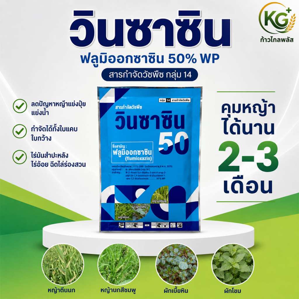วินซาซิน 5ฟลูมิออกซาซิน 50% WP (100กรัม) สารยาคุมหญ้ามันสำปะหลัง คุมหน้าดิน 2-3 เดือน