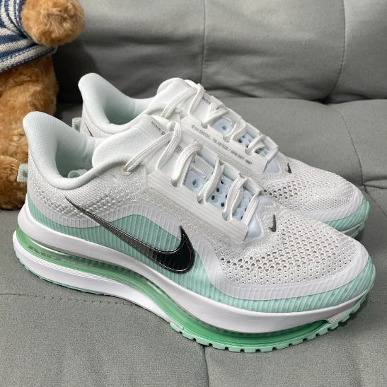 Nike Pegasus Premium Low cut White Green