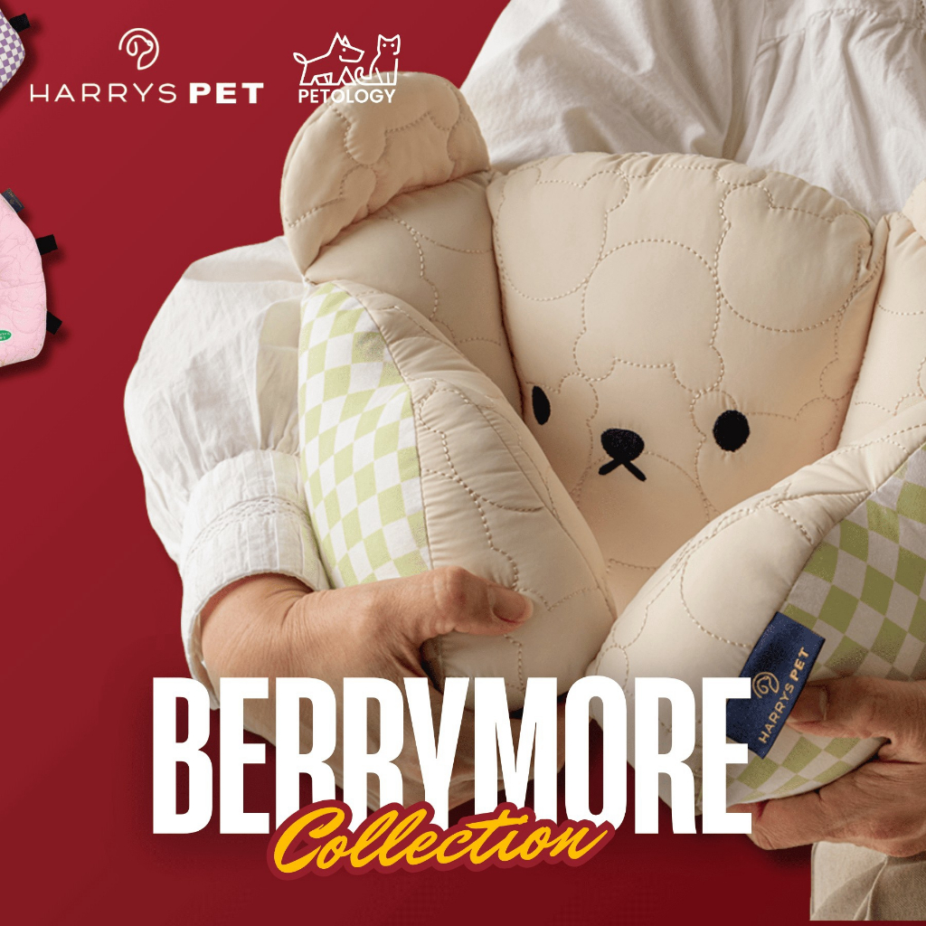 Petology - Harryspet Rococo Berrymore