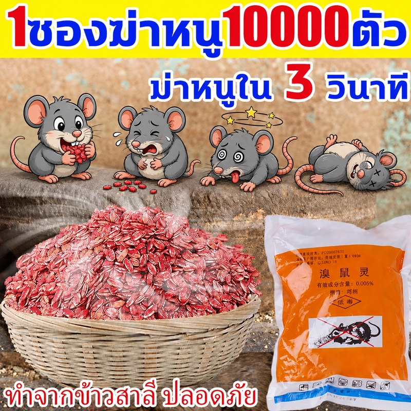 ยาฆ่าหนู หนูชอบมาก เหยื่อกำจัดหนู ตายแห้ง ไม่เหม็น ยาเบื่อ 100%ได้ผล ใช้ได้ในบ้านและรอบบ้าน