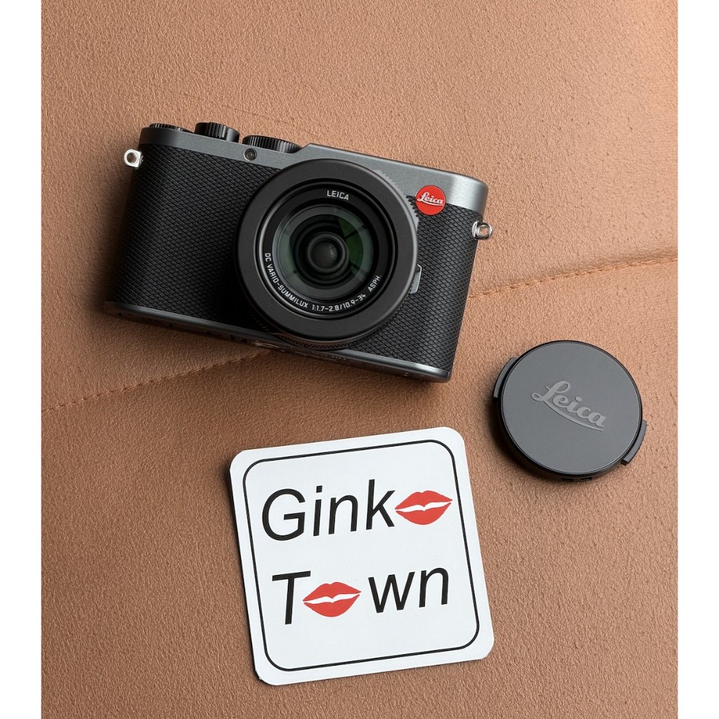 LEICA D-LUX 8 METAL GRAY