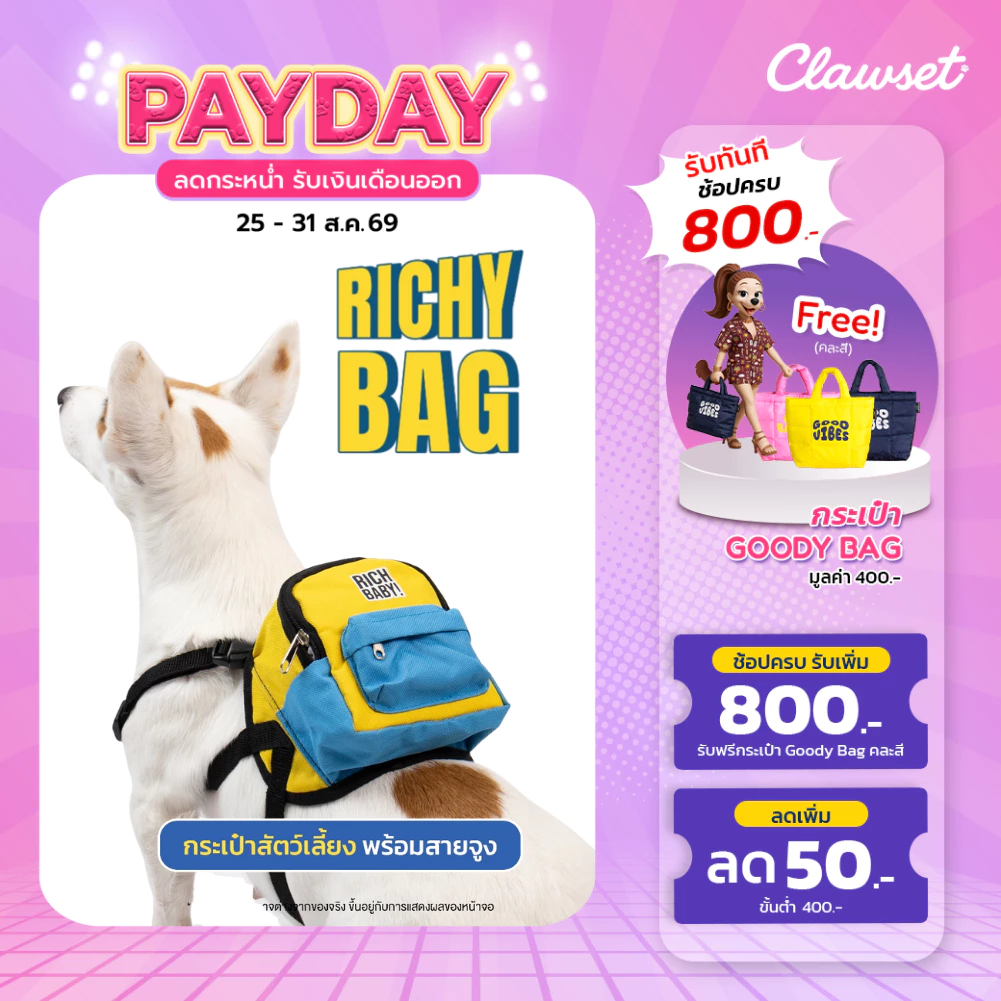 [สินค้าราคาพิเศษ] สายจูงรัดอก พร้อมกระเป๋า สายจูงหมาใหญ่ กระเป๋าสัตว์เลี้ยง | CLAWSET.BKK