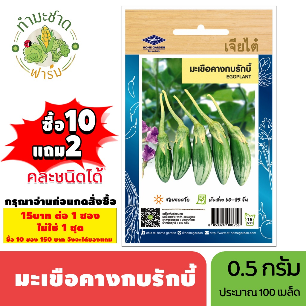 [1ซอง] เจียไต๋ (ซื้อ10แถม2) เมล็ดพันธุ์ มะเขือคางกบรักบี้ ขนาด0.5กรัม ประมาณ150เมล็ด Eggplant มะเขือคางกบ เมล็ดพันธุ์พืช