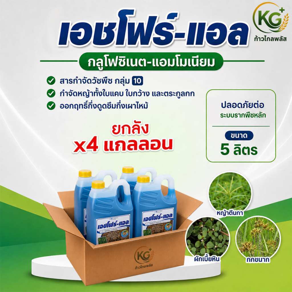 เอชโฟร์-แอล กลูโฟซิเนต 5ลิตร (ยกลัง4แกลอน) สูตร L-Form  กึ่งดูดซึมเผาไหม้ ยาฆ่าหญ้า ตราหัวเสือลูกโลก