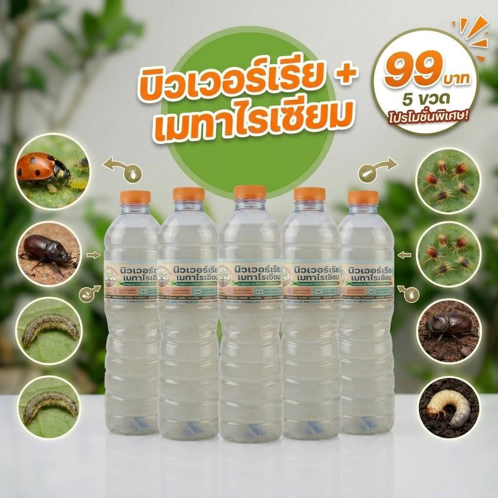บิวเวอร์เรีย+เมธาไรเซียมขนาด600cc.จำนวน 5 ขวด