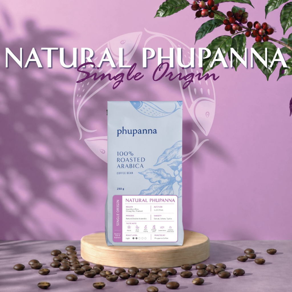 เมล็ดกาแฟคั่วอ่อน Thai Single Origin: Natural Process Phupanna ขนาด 250 g