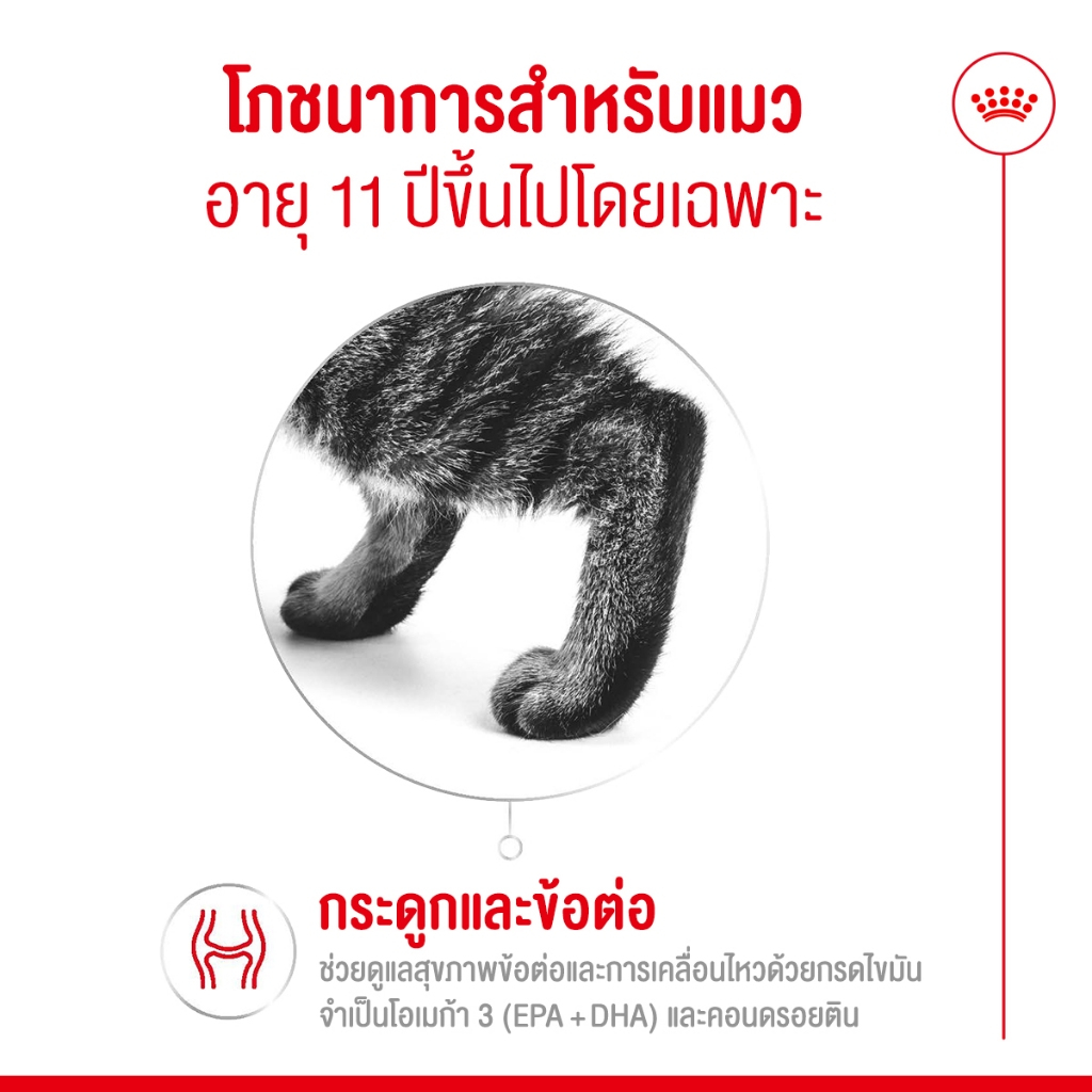 Royal Canin Ageing 11+ طعام قطط كبيرة رطب بالمرق (12 كيس) — صورة 6