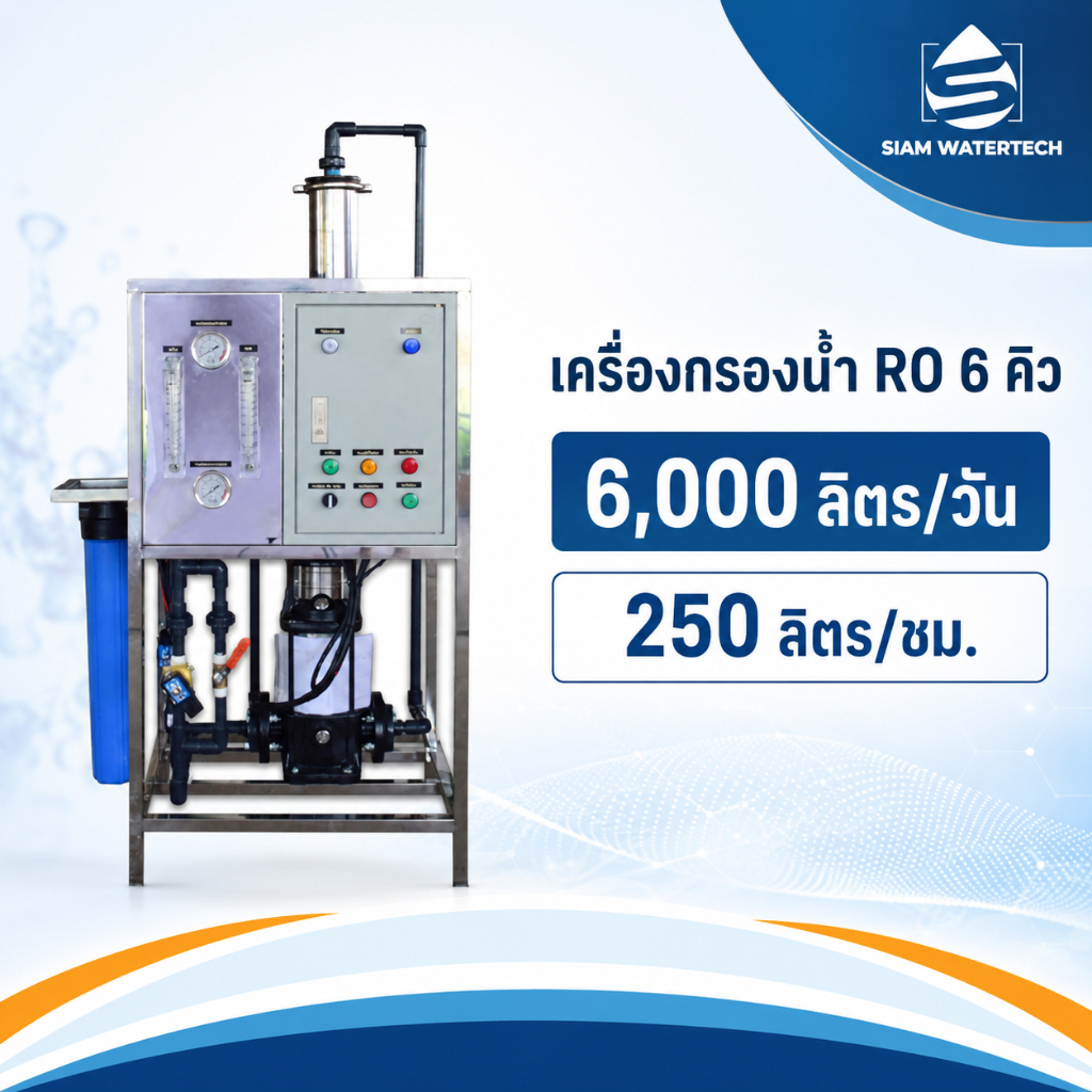 เครื่องกรองน้ำ RO 6 คิว 6,000 ลิตร/วัน (250 ลิตร/ชม.) สำหรับโรงงานน้ำดื่ม โครงสแตนเลส 304