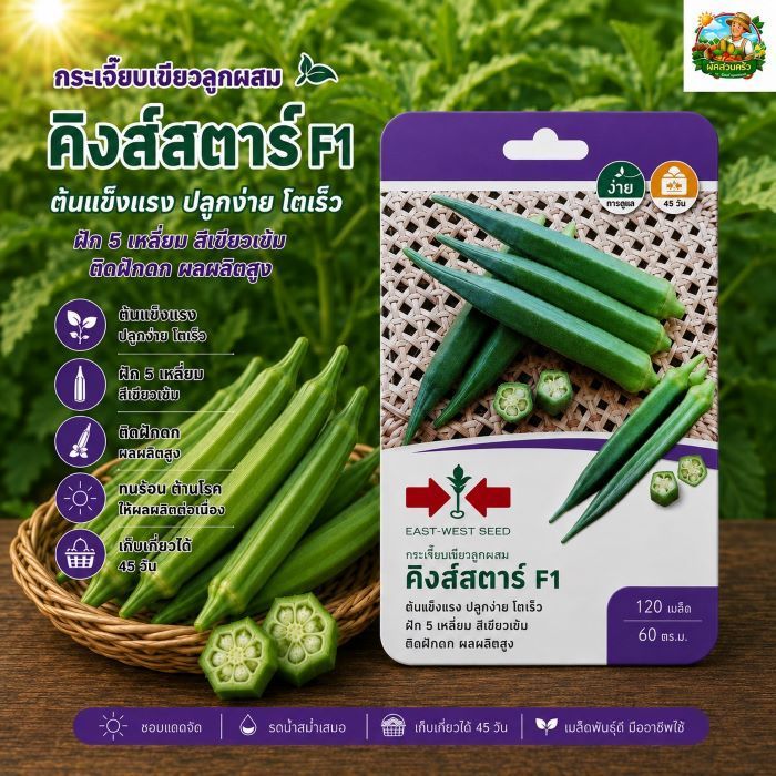 กระเจี๊ยบ คิงส์สตาร์ SD/F1-035 ผักซอง ศรแดง F1 เมล็ดพันธุ์ลูกผสม เมล็ดพันธุ์ผัก ผักสวนครัว ผักศรแดง