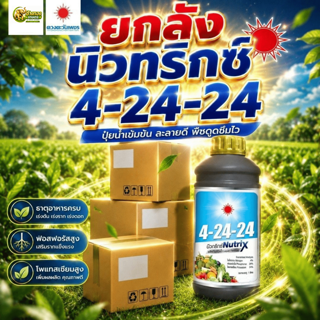(ยกลัง1L*12) 4-24-24 นิวทริกซ์ 1L (ดวงตะวันเพชร)
