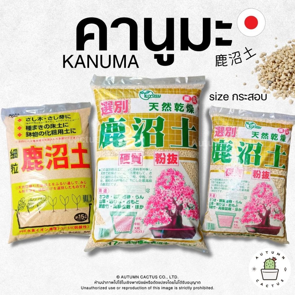 🌋ดินญี่ปุ่น คานูมะ คานุมะ  KANUMA SOIL ขนาด 1-2mm 3-6mm 6-9mm ยกกระสอบ🌋
