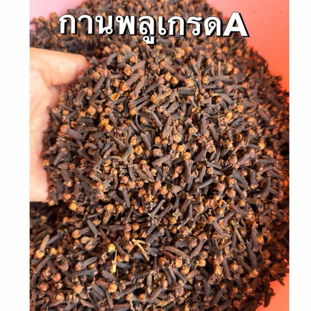 กานพลูแห้งเกรดA ดอกสวย ได้กลิ่นหอมเครื่องเทศ
