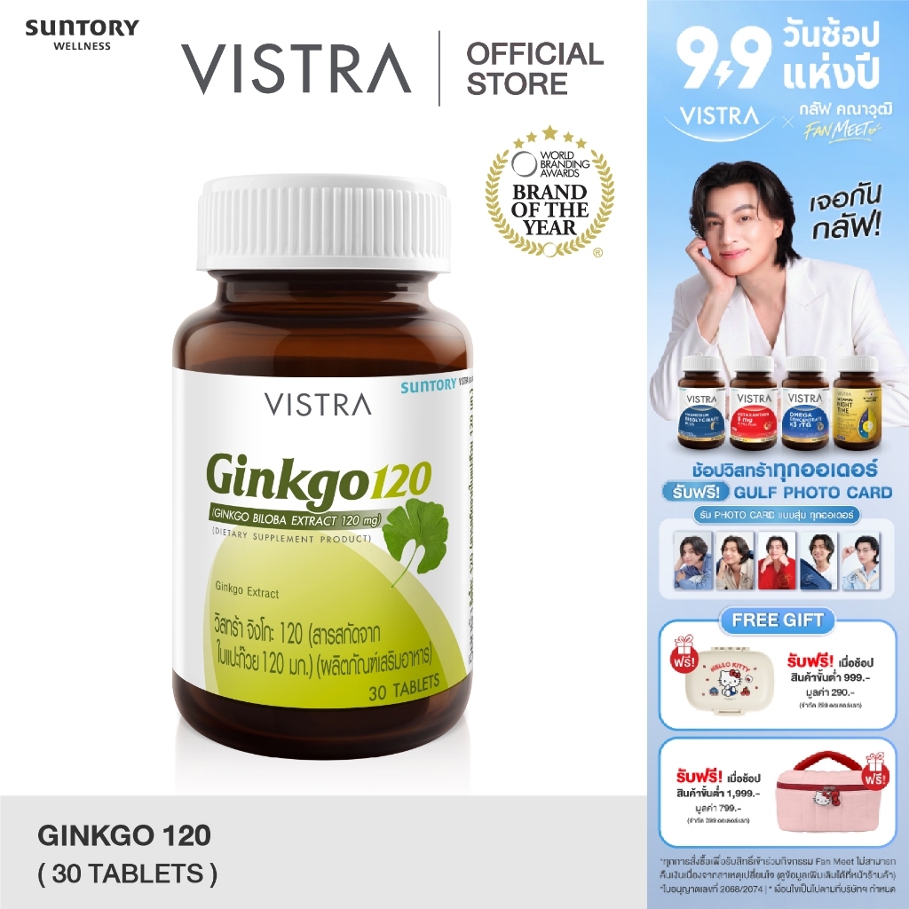 VISTRA Ginkgo สารสกัดจากใบแปะก๊วย 120 Ml. (30 เม็ด) 27 กรัม