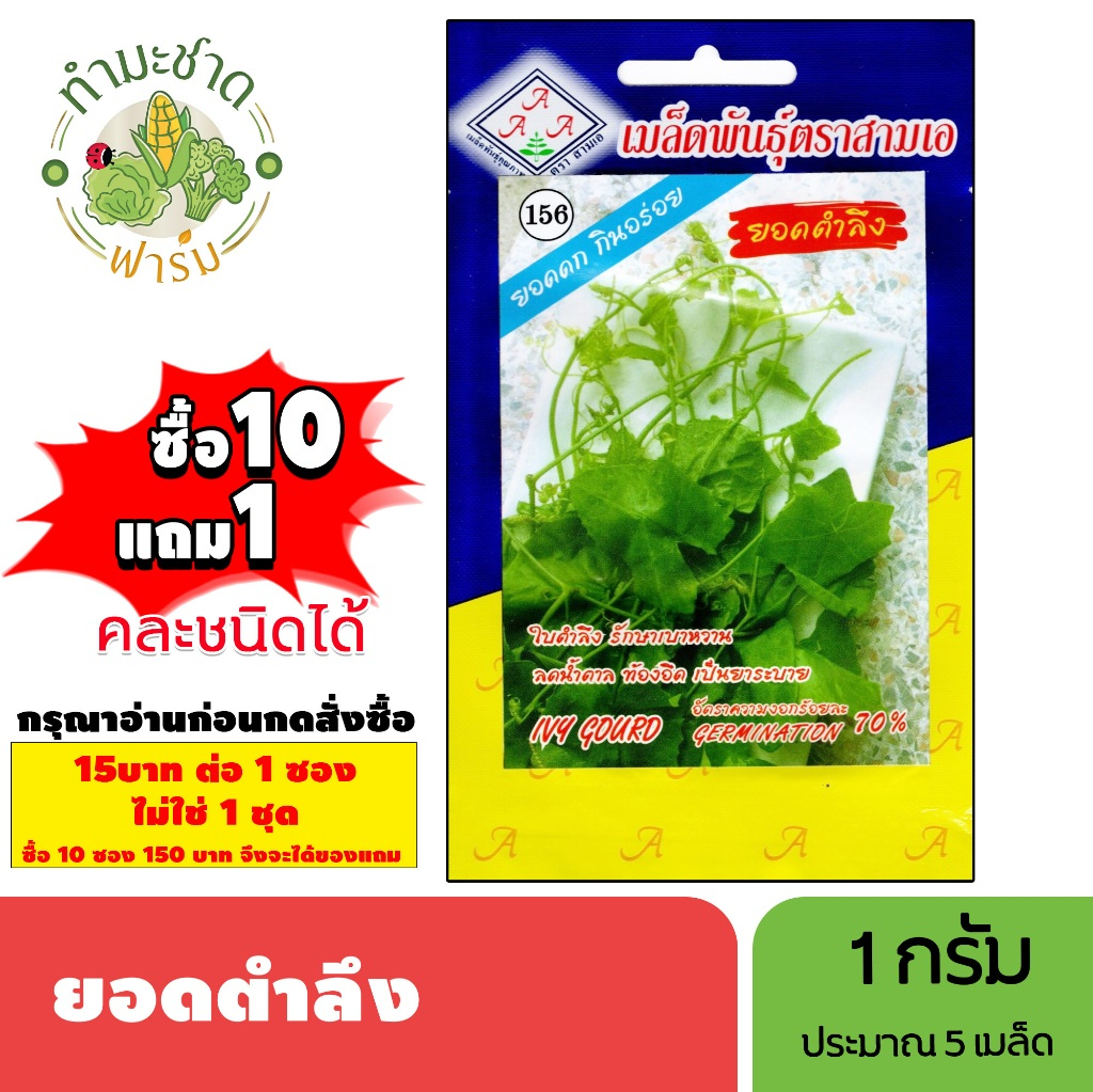 [1ซอง] 3A (ซื้อ10แถม1) เมล็ดพันธุ์ ตำลึง ขนาด1กรัม ประมาณ5เมล็ด IVY GOURD ยอดตำลึง เมล็ดพันธุ์พืช เมล็ดผัก ปลูกผักสวนครั