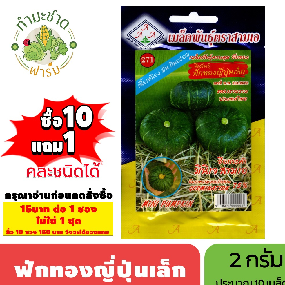 [1ซอง] 3A (ซื้อ10แถม1) เมล็ดพันธุ์ ฟักทองญี่ปุ่นเล็ก ขนาด2กรัม ประมาณ10เมล็ด MINI JAPANESE PUMPKIN ฟักทอง กะโบะชะ ฟักทอง