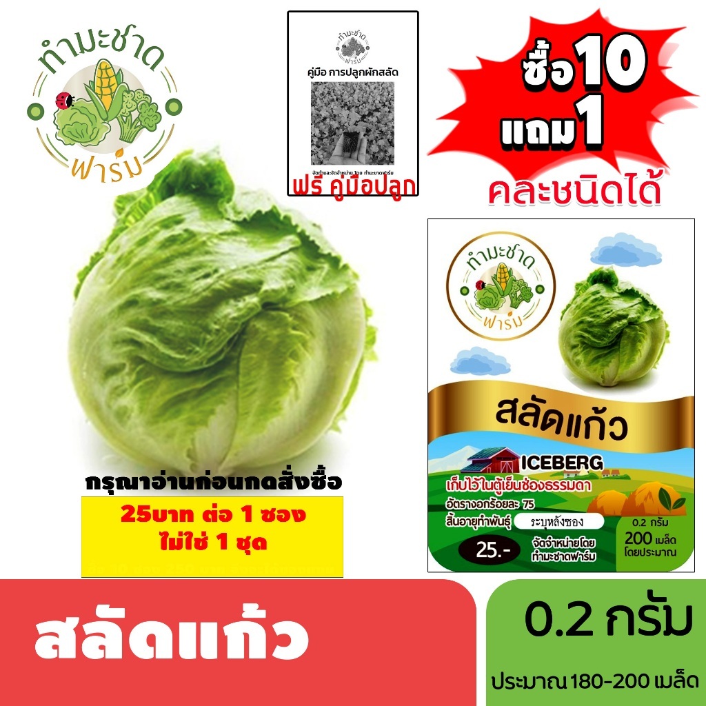 [1ซอง] ทำมะชาดฟาร์ม (ซื้อ10แถม1) เมล็ดพันธุ์ สลัดแก้ว ขนาด0.2กรัม ประมาณ200เมล็ด ICEBERG ผักกาดแก้ว ผักสลัด เมล็ดพันธุ