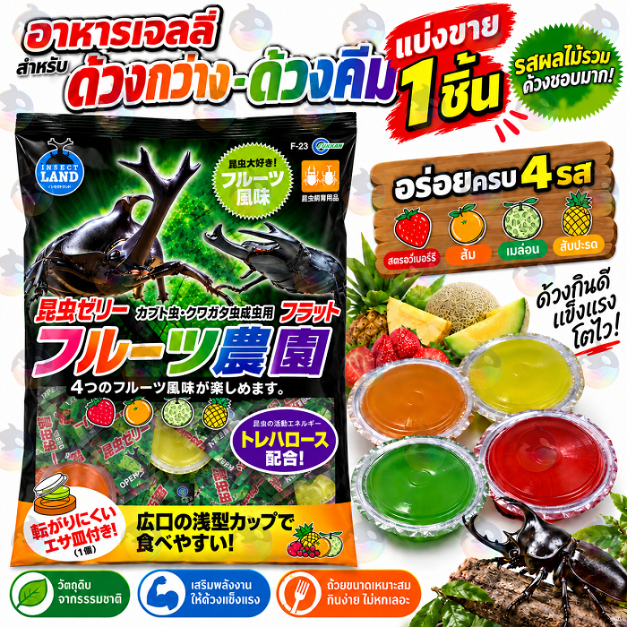 Insect land วุ้นอาหารสำหรับด้วง/แมลงกินผลไม้ Beetle Fruit Jelly กลิ่นผลไม้ 4 รส ขนาด 16 กรัม