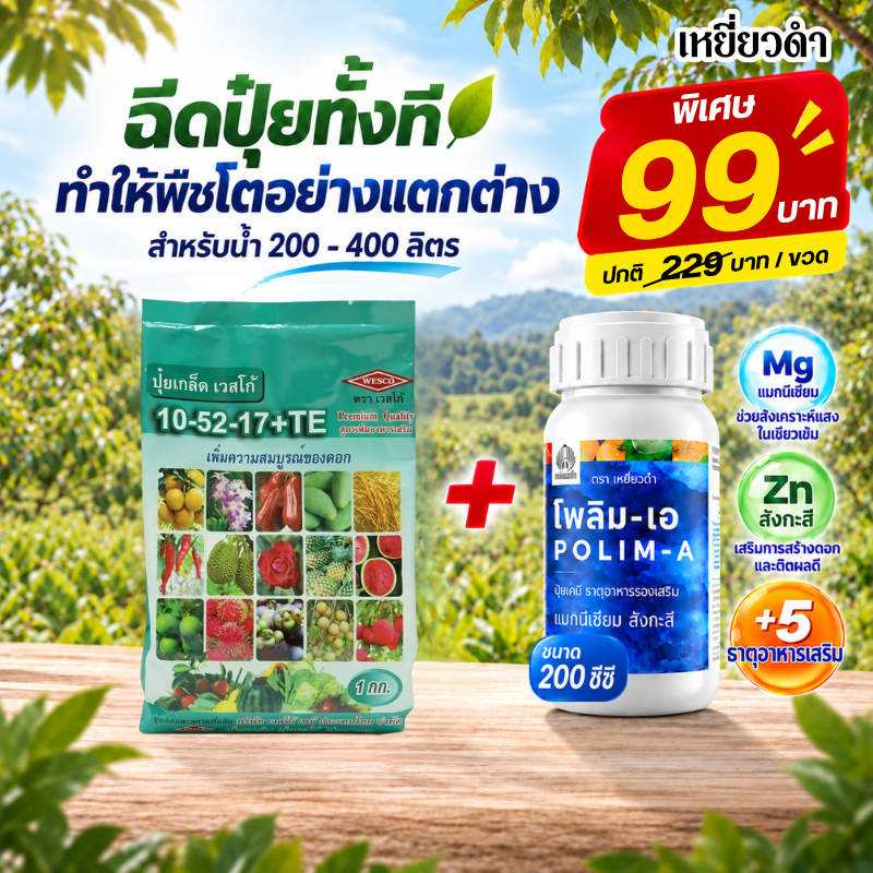 ปุ๋ยเกล็ดเวสโก้ 10-52-17+ธาตุรองเสริม เปิดตาดอก สะสมอาหาร เร่งดอก ดึงช่อดอก หยุดใบอ่อน