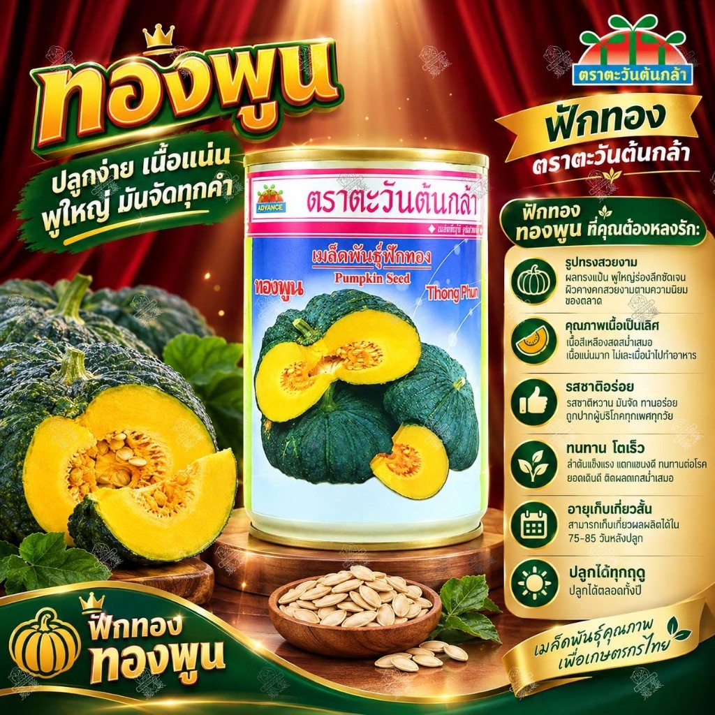 เมล็ดพันธุ์ฟักทอง ทองพูน 250 กรัม ตราตะวันต้นกล้า ฟักทองคางคก ฟักทอง เนื้อแน่น พูใหญ่ ปลูกง่าย