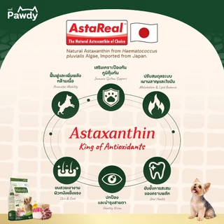 Pawdy อาหารสุนัขสูงวัยเกรดโฮลิสติก ใส่ Astaxanthin AstaReal™ สูตรแกะและปลา ผสมเนื้อจระเข้ สำหรับอายุ 7 ปีขึ้นไป 6 กก.