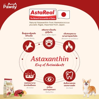 Pawdy อาหารสุนัขโตเกรดโฮลิสติก ใส่ Astaxanthin AstaReal™ สูตรเนื้อวัวย่างและเห็ดทรัฟเฟิล อายุ 1–6 ปี 1 กก.