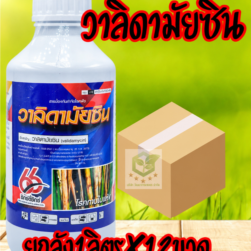 /ยกลัง12ขวด/ วาลิดามัยซิน 3% WV SL-ขนาดบรรจุ 1 ลิตร ยาป้องกันกำจัดเชื้อรา เป็นสารปฏิชีวนะ โรคใบไหม้ของข้าว โรคกาบใบแห้ง