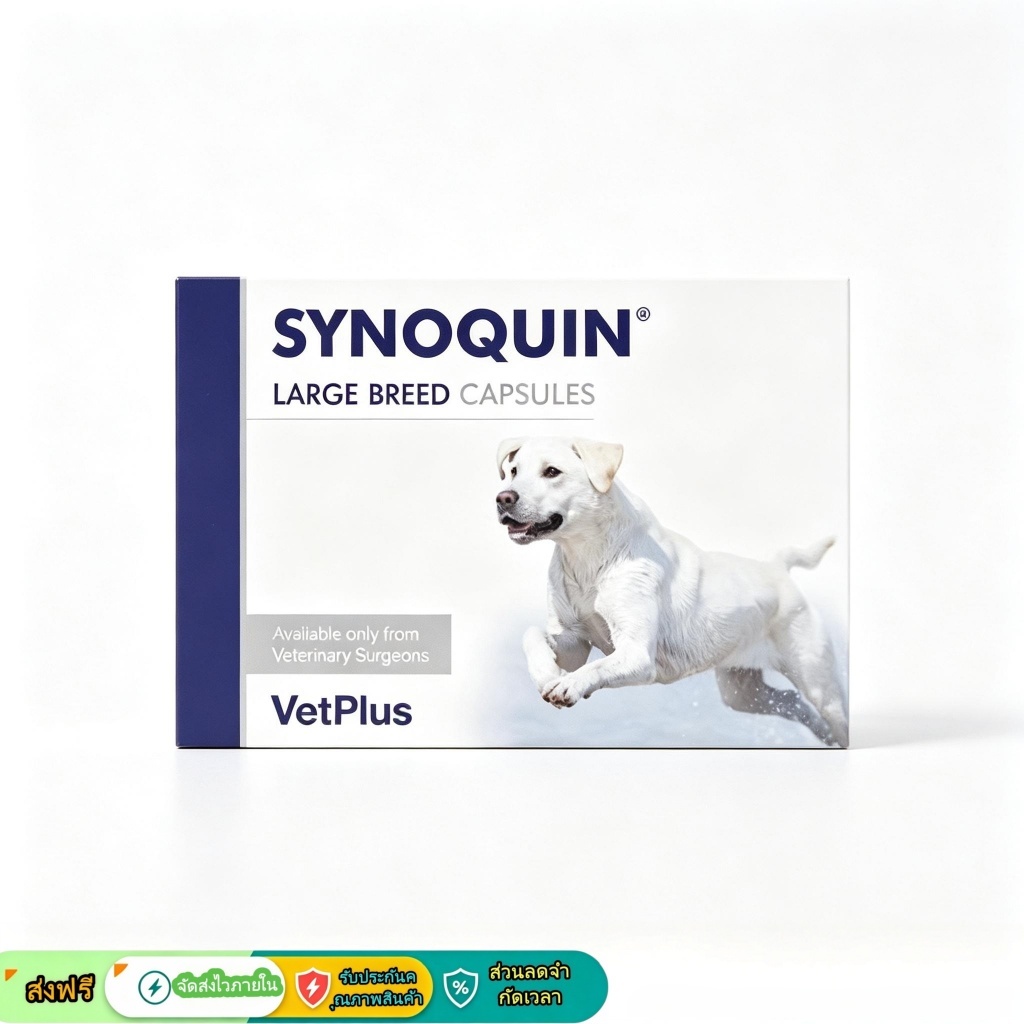 Synoquin VetPlus Large Breed เม็ดเคี้ยว บำรุงข้อกระดูก สำหรับสุนัข น้ำหนัก 25 กก. ขึ้นไป ดูแลข้อต่อ สนับสนุนการเคลื่อนไห